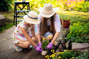 De voor- en nadelen van een tuin op het zuiden