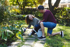 Waarom een tuin op het noorden wél interessant is